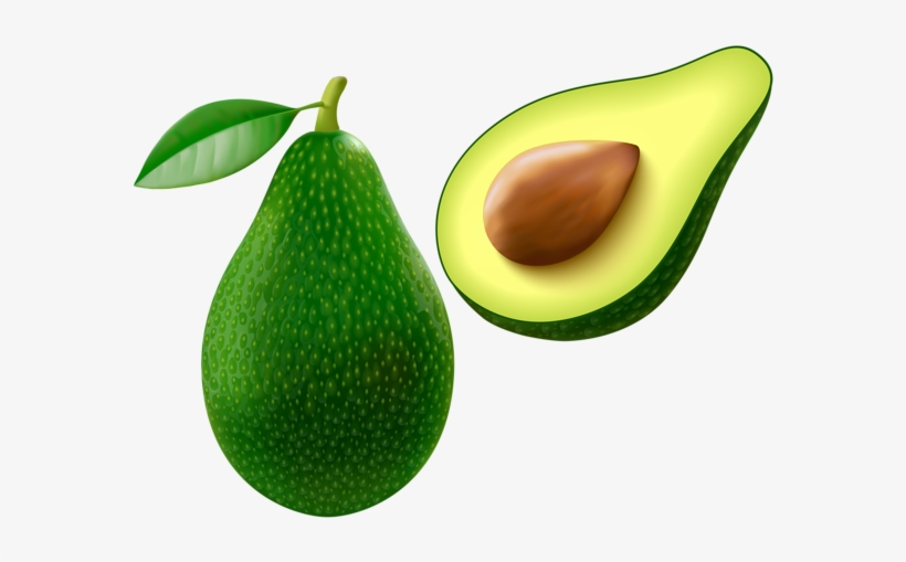 Avocado Png Vector Clipart Image - Clip Art Avocado, transparent png #134104