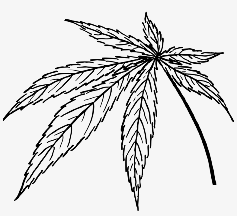 Cannabis Sativa Drawing Line Art Leaf, transparent png #134497