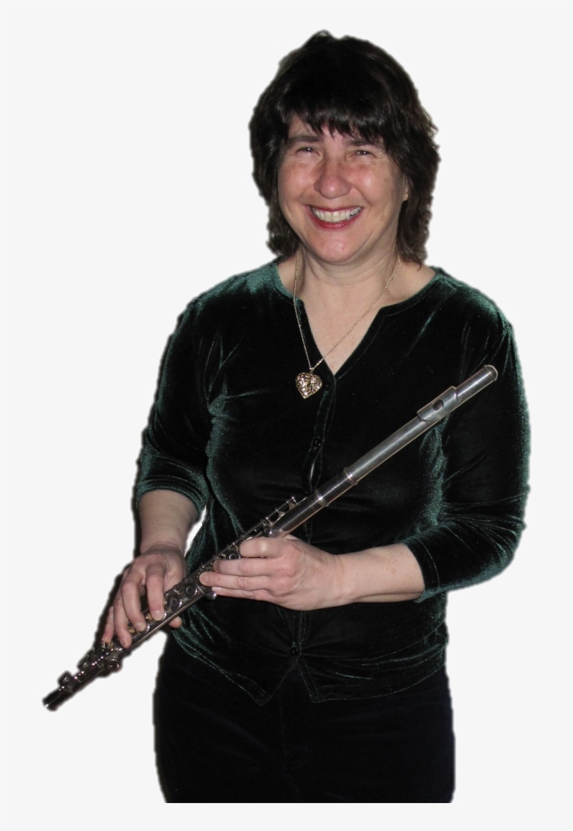 Gift Ideas For Music Lovers, Guitar Purse, Violin Purse - Law, transparent png #134658