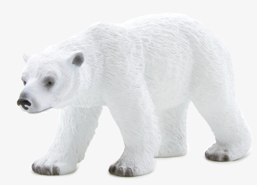 Animal Planet: Polar Bear, transparent png #134731