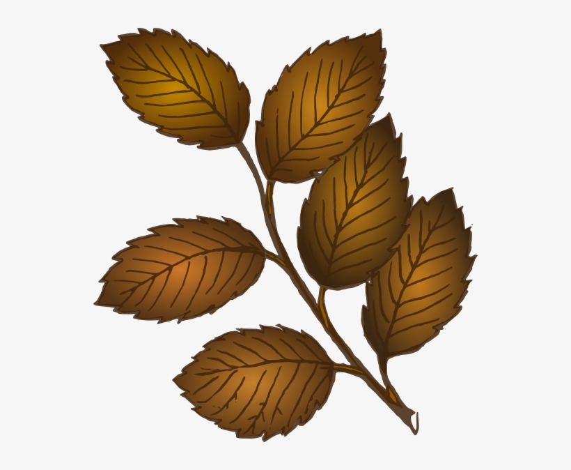 Fall Leaves Branch Svg Clip Arts 552 X 594 Px, transparent png #135042
