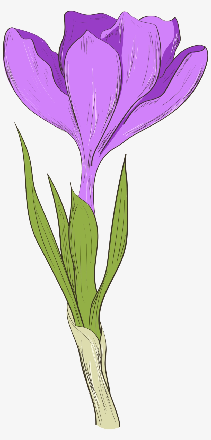 This Graphics Is Hand Painted A Purple Flower Transparent - Flower, transparent png #135709