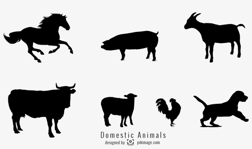 Vector Image Domestic Animal Silhouette Png File - Horse, transparent png #136004