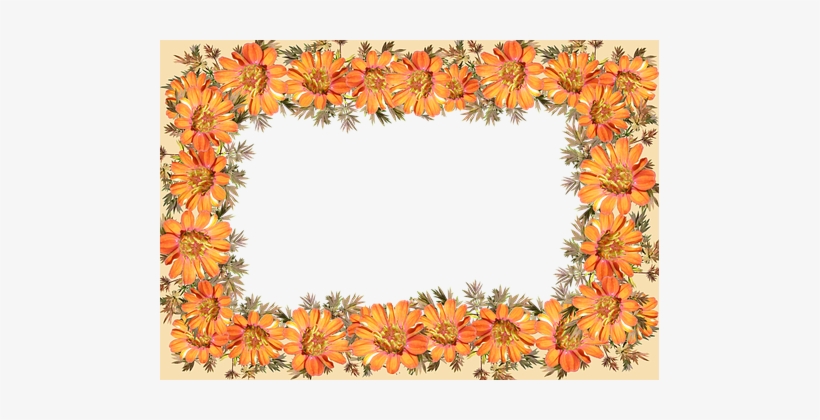 Border Orange Flower, transparent png #136242