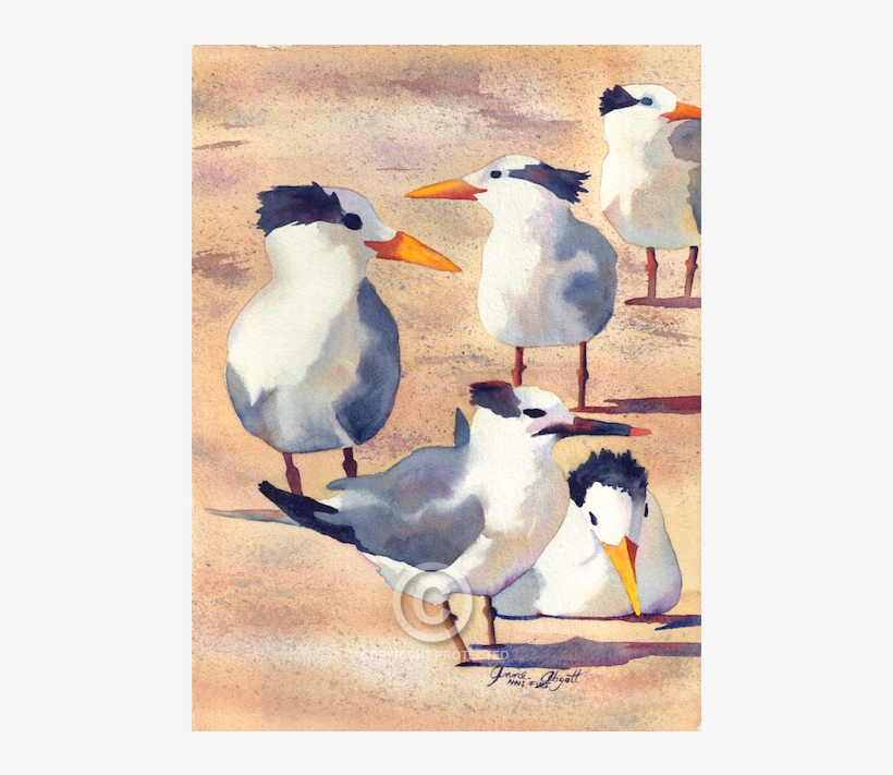 1 - Gull, transparent png #136418