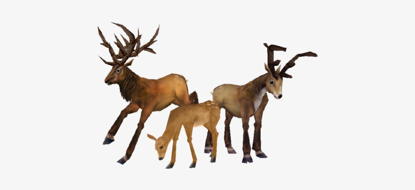 Deer - Wow Deer, transparent png #136651