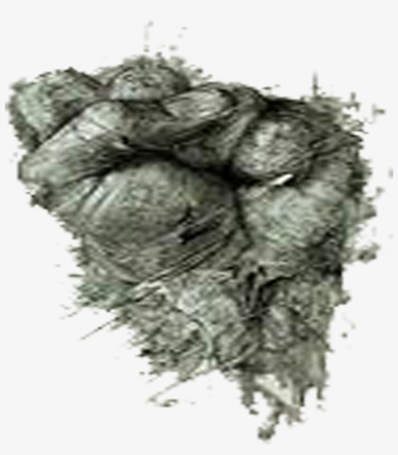 Herbicide Weed Grey Pattern - Nordmann Fir, transparent png #136716