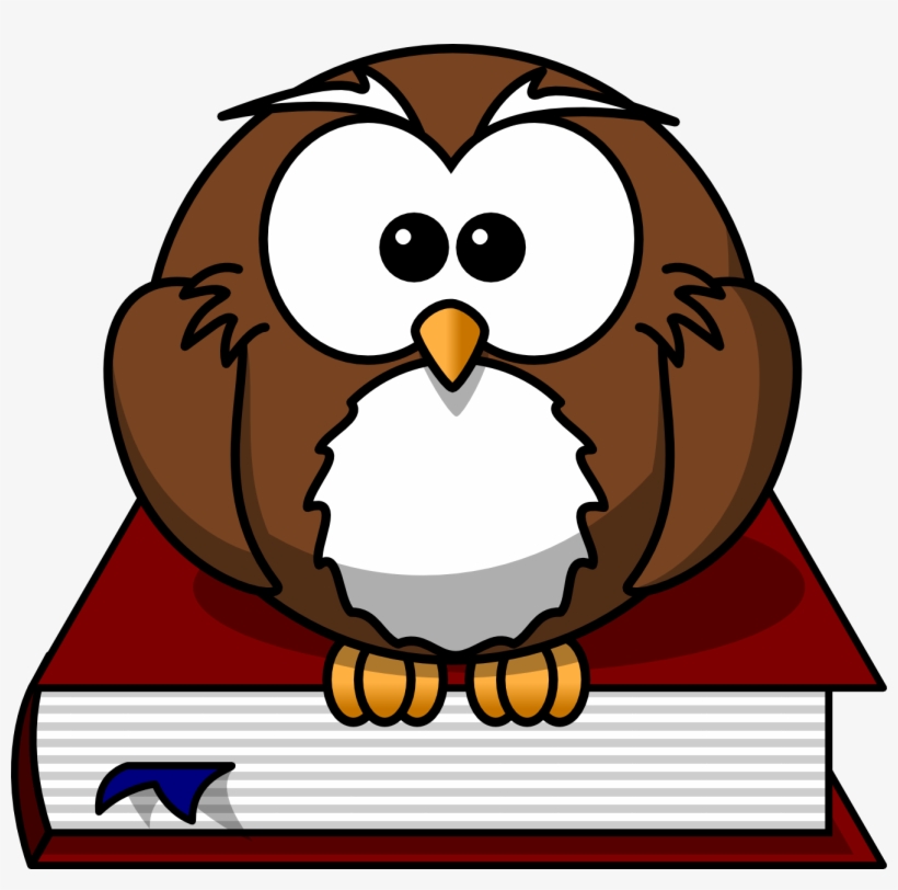 Owl Cartoon Png - Cartoon Owl Shower Curtain, transparent png #136809