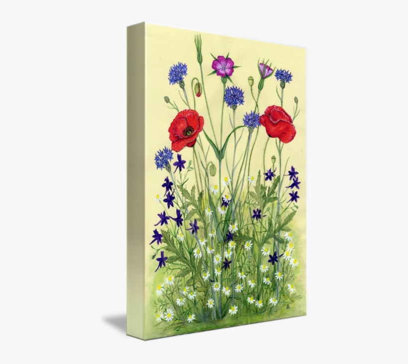 Wheat Field Flowers By Sue Abonyi - Wheat Fields, transparent png #137033