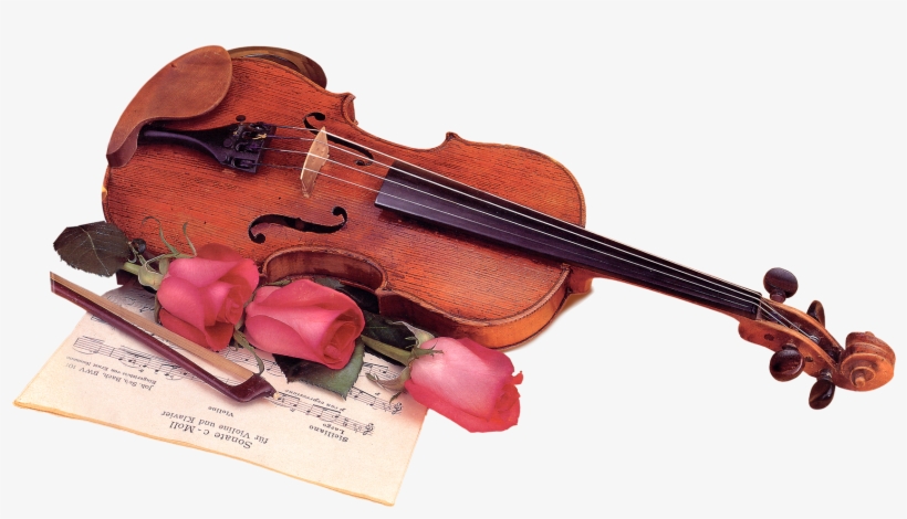 Violin & Bow Png Image - Цветы И Музыкальные Инструменты, transparent png #137135
