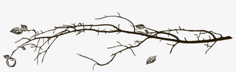 Branch - Portable Network Graphics, transparent png #137184