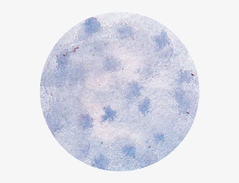 Pluto, transparent png #137496