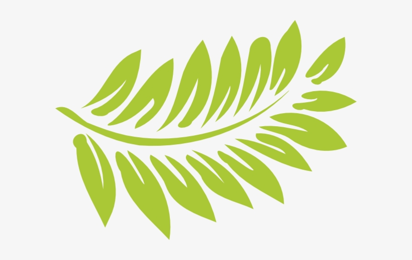 /plants/fern/fractal Fern - Hibiscus Clip Art, transparent png #139034