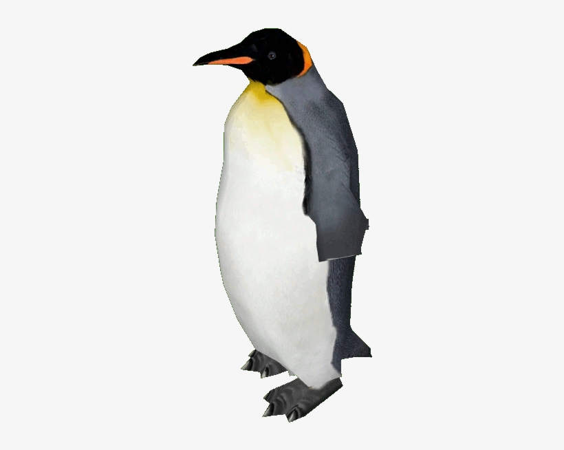 King Penguin, transparent png #139459