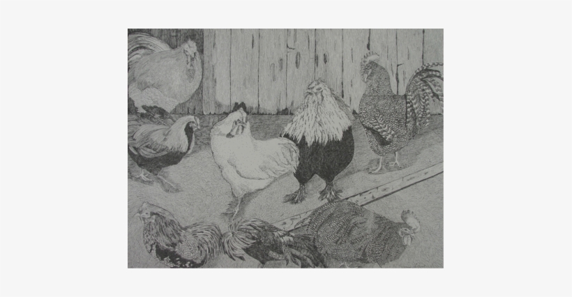 Picture - Chicken, transparent png #139976