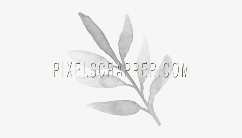 Watercolor Brush Kit 5 - Illustration, transparent png #1300343