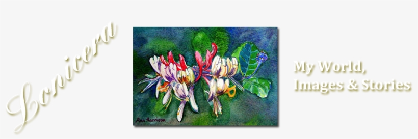 Japanese Honeysuckle, transparent png #1300627