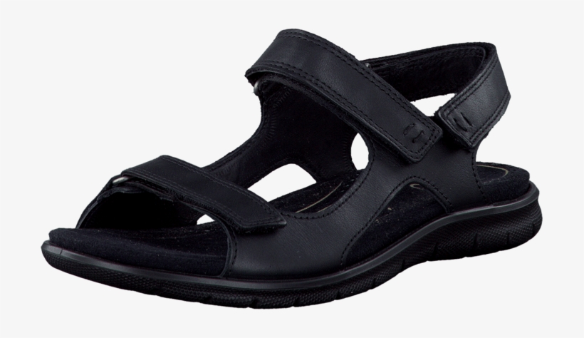 Babett Sandal Black Feather - Ecco, transparent png #1300648