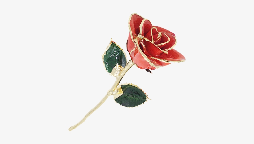 Garden Roses, transparent png #1300753