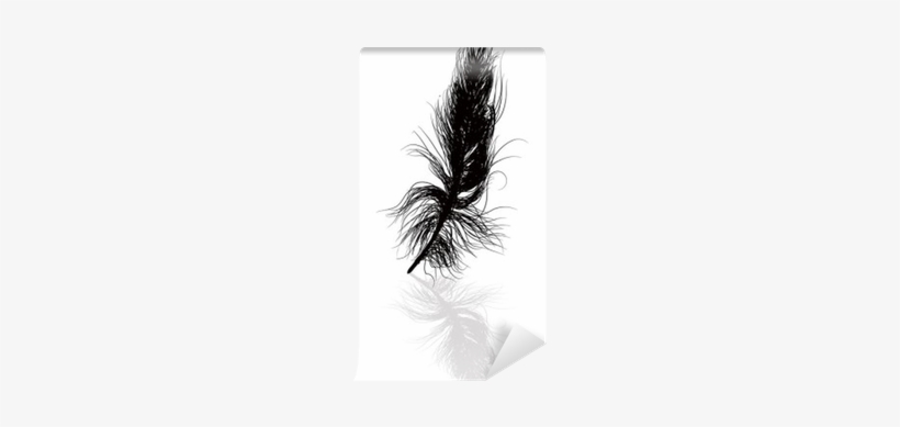 Black Feather And Shadow Illustration Wall Mural • - Attalea Speciosa, transparent png #1300830