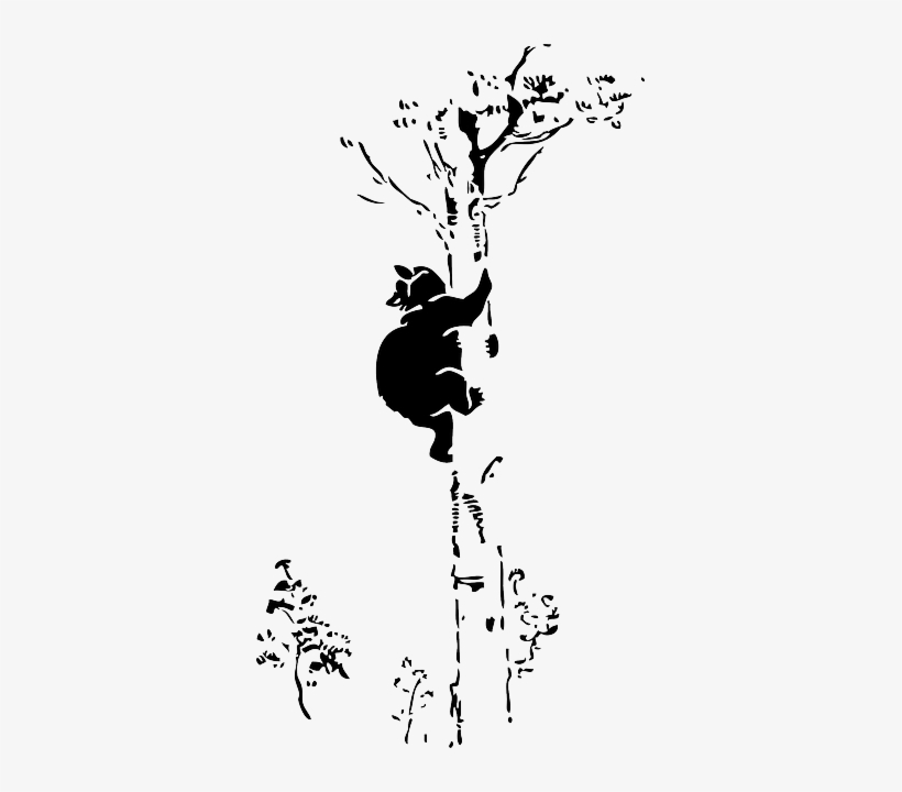Cat, Black, Outline, Silhouette, Tree, Cartoon, Bear - Bear In A Tree Clip Art, transparent png #1301568