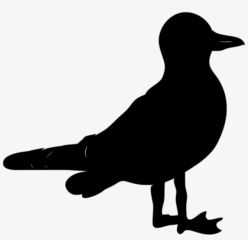 Download Png - Bird, transparent png #1302745