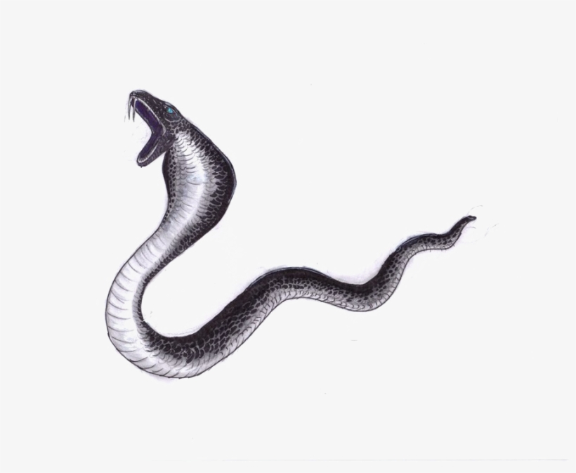Black Mamba Png File - Black Mamba Snake Png, transparent png #1303506
