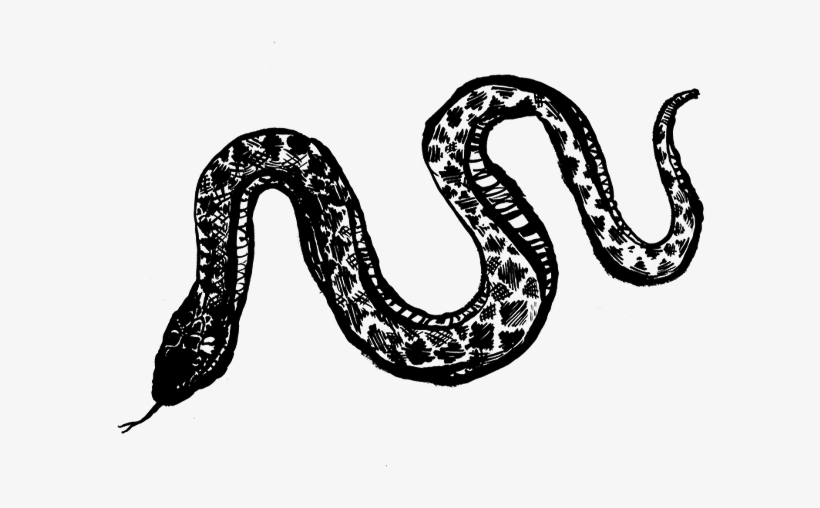 Inertia - Reptile, transparent png #1303564