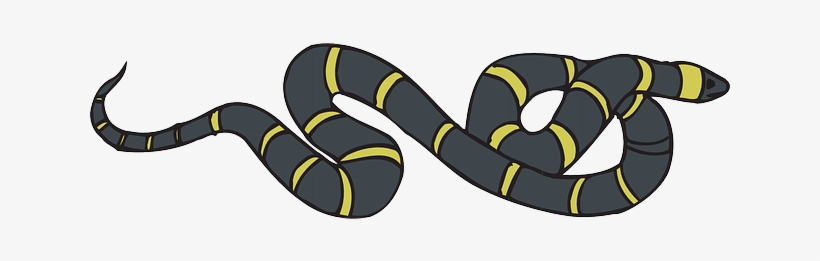 Snake, Black, Yellow, Striped, Reptile, And, Slithering - Sarı Siyah Çizgili Yılan, transparent png #1303742