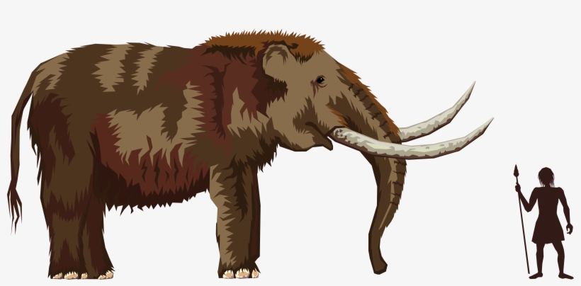 , , - Mastodon Clipart, transparent png #1303904