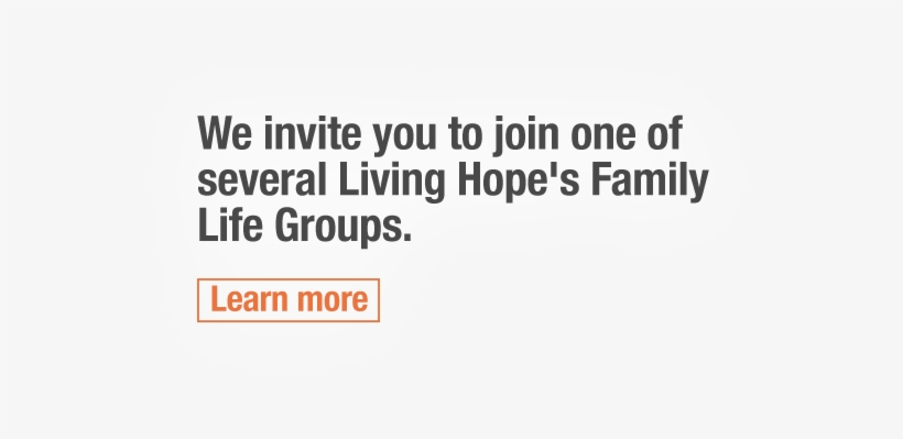 Facebook Page White Facebook Png - Schmidt Clemens, transparent png #1304145