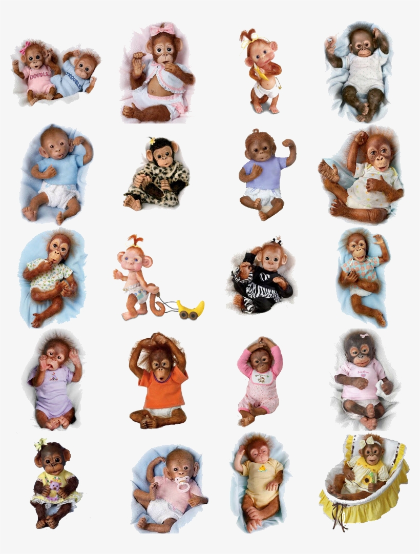Monkey Baby Doll - Realistic Baby Monkey Doll: Baby Zachary By Ashton, transparent png #1304545