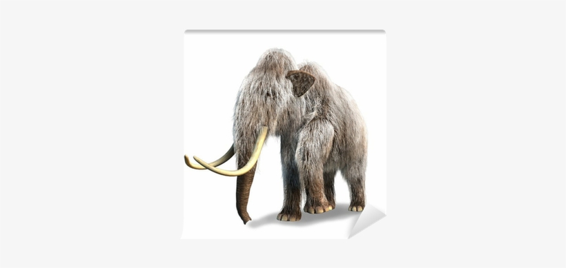 Photorealistic 3 D Rendering Of A Mammoth - Wooly Mammoth White Background, transparent png #1304679