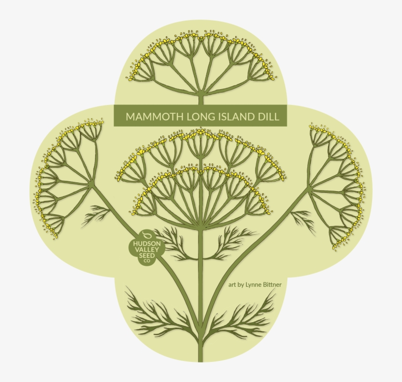 Dill In Art, transparent png #1304710