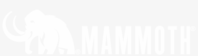 Mammoth Microbes Mammoth Microbes - Mammoth Lakes, transparent png #1304847