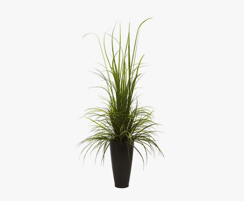 Plant Vase Png - Nearly Natural Indoor Outdoor 64" River Grass, transparent png #1305204