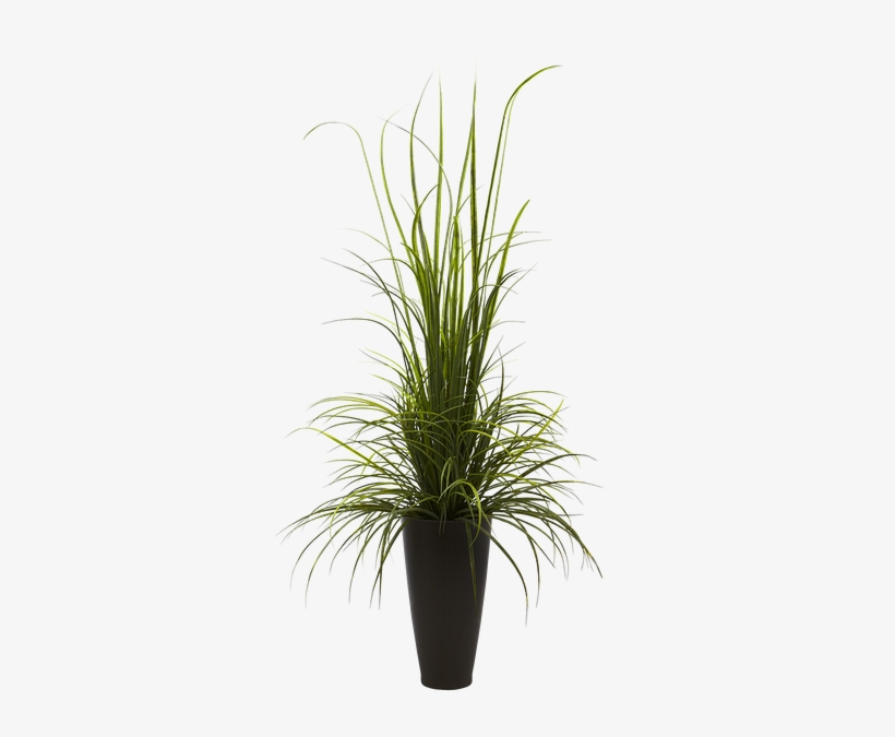 Plant Vase Png Nearly Natural Indoor Outdoor 64 River Grass