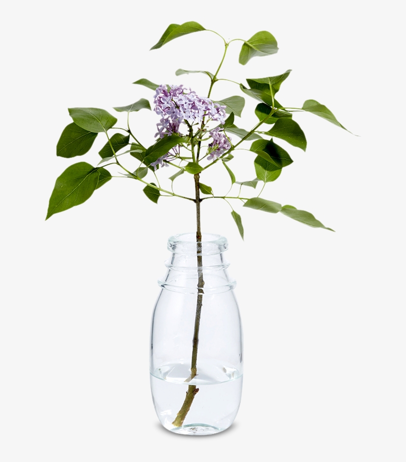 Bottle Vase - Vase, transparent png #1305205