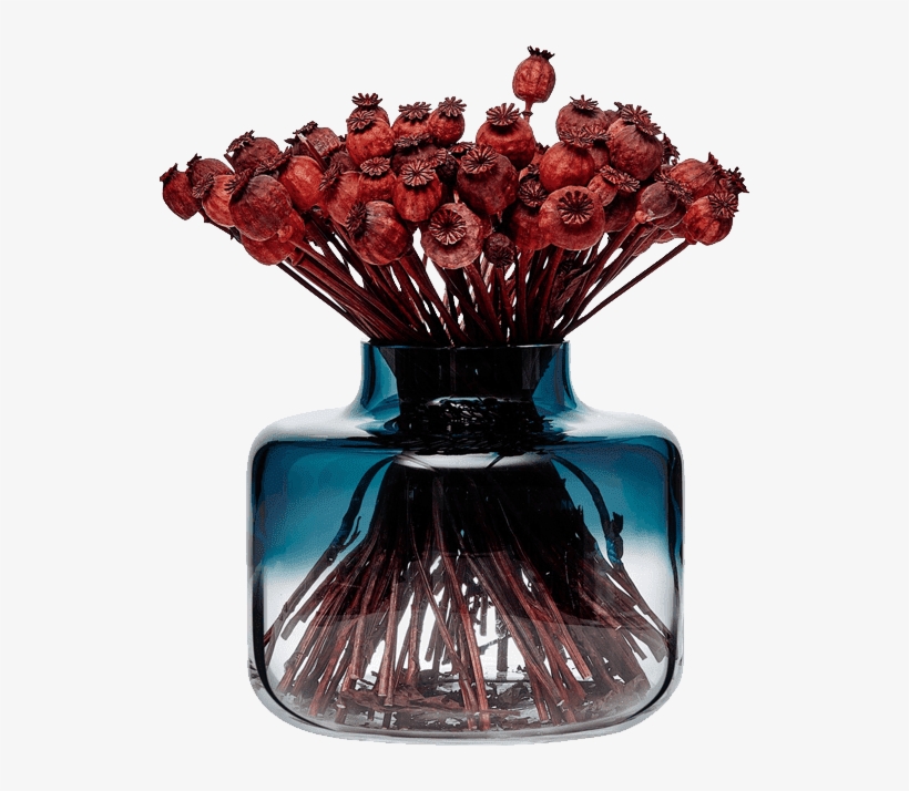 Magnolia - Vase, transparent png #1305229