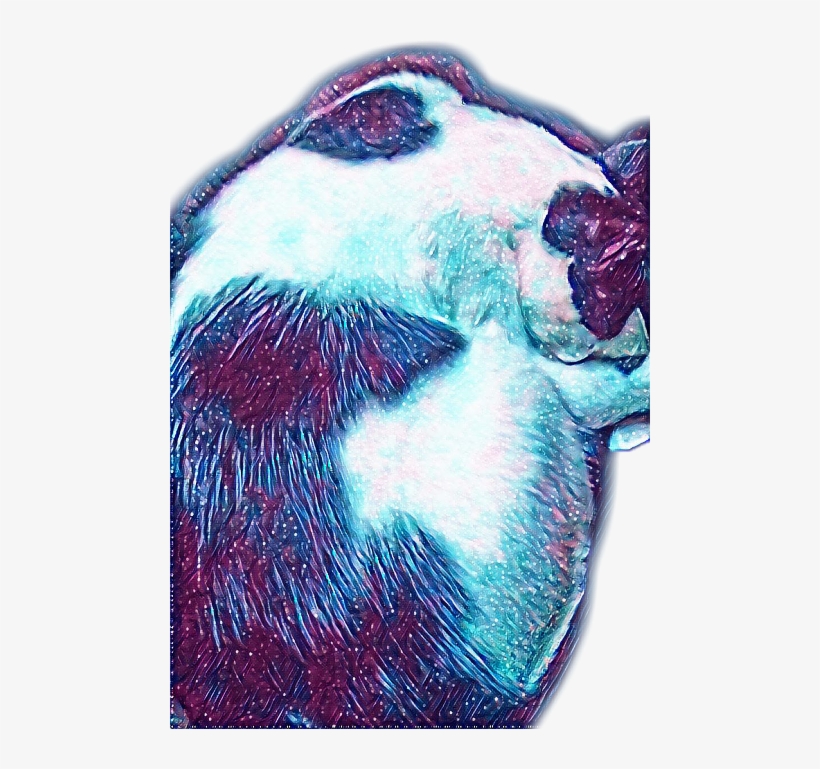 Largest Collection Of Free To Edit Gatos Tocando Instrumentos - Still Life, transparent png #1305350