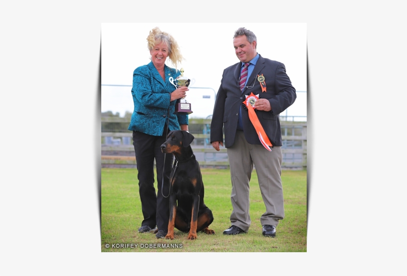 Korifey Dobermann Male Korifey Rage Jw - Male, transparent png #1306772