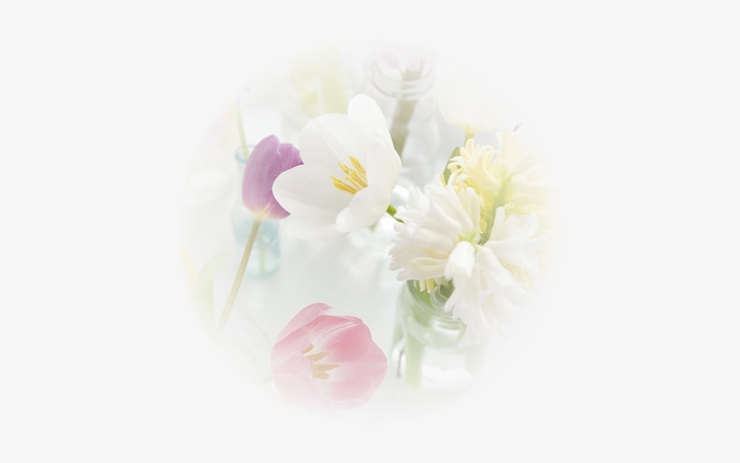 So Soft - - Pastel, transparent png #1307225