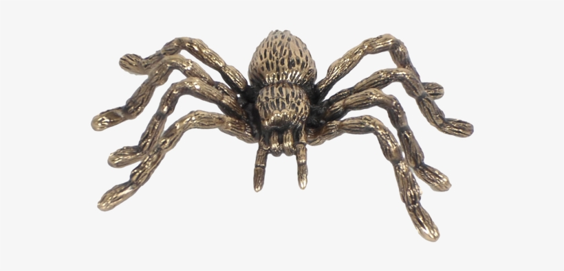 Spider - Drawing, transparent png #1307746