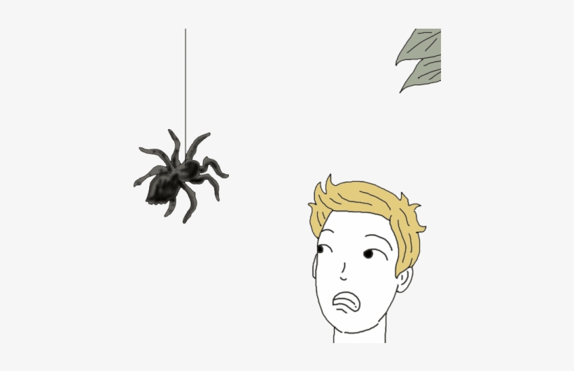 Tarantula - Dream Dictionary, transparent png #1307918