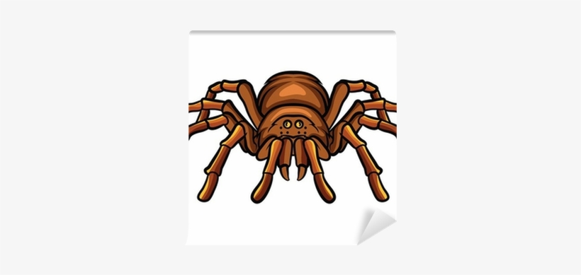 Tarantula Clipart, transparent png #1307949
