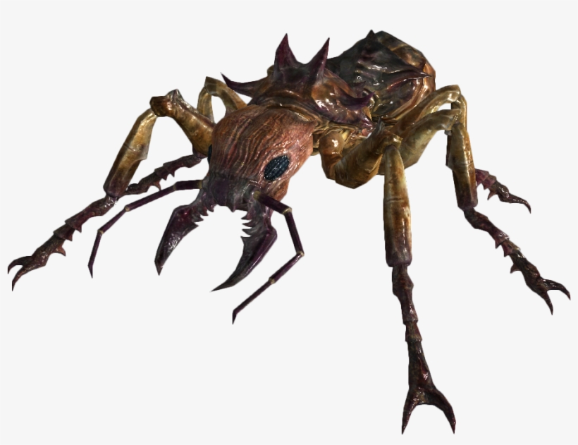 Giant Soldier Ant - Fallout Ant, transparent png #1307972