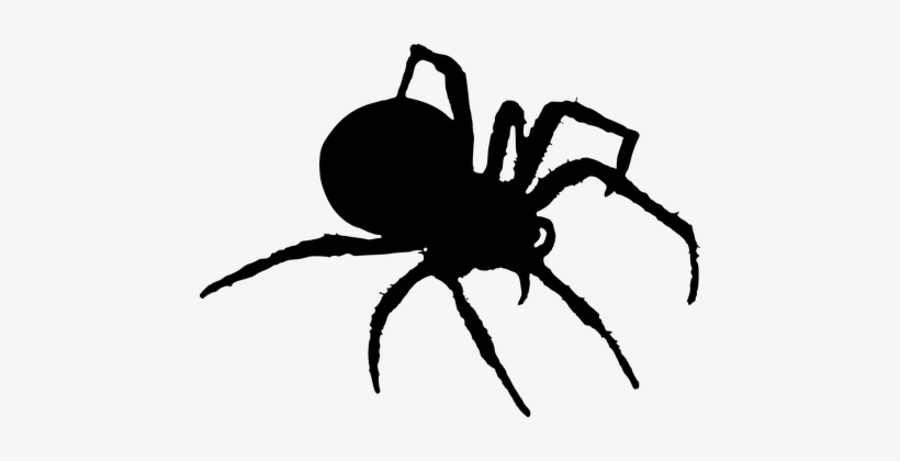 Spider, Silhouette, Halloween, Insects - Spider Silhouette Png, transparent png #1308007