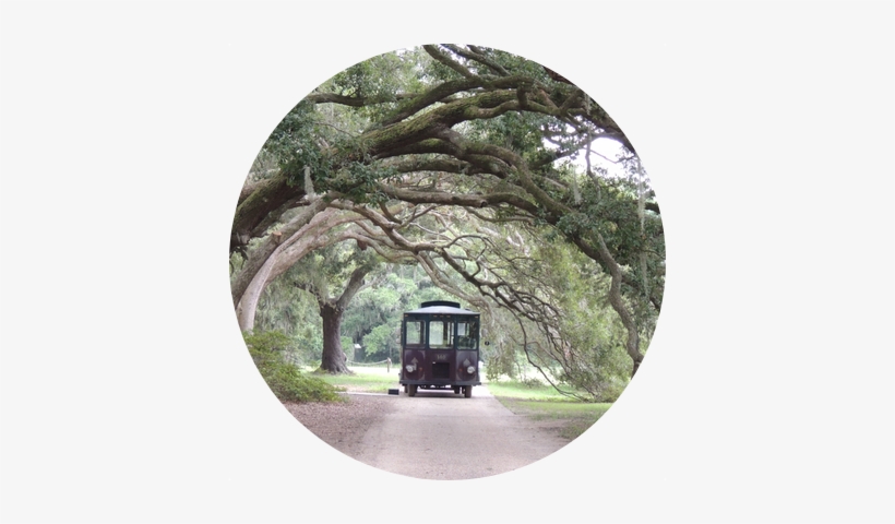 Png Trolley - Portable Network Graphics, transparent png #1308578