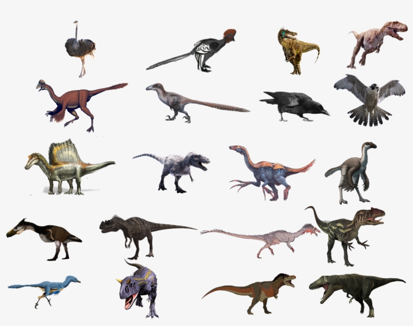 Theropoda - Therizinosaurus Cheloniformis, transparent png #1308762