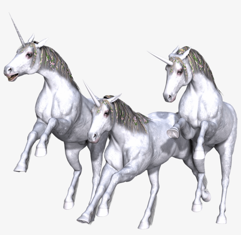 Unicorn, Fantasy, Fairy, Tale, White - Unicorn, transparent png #1309478